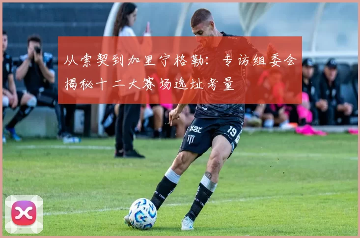 从索契到加里宁格勒:专访组委会揭秘十二大赛场选址考量
