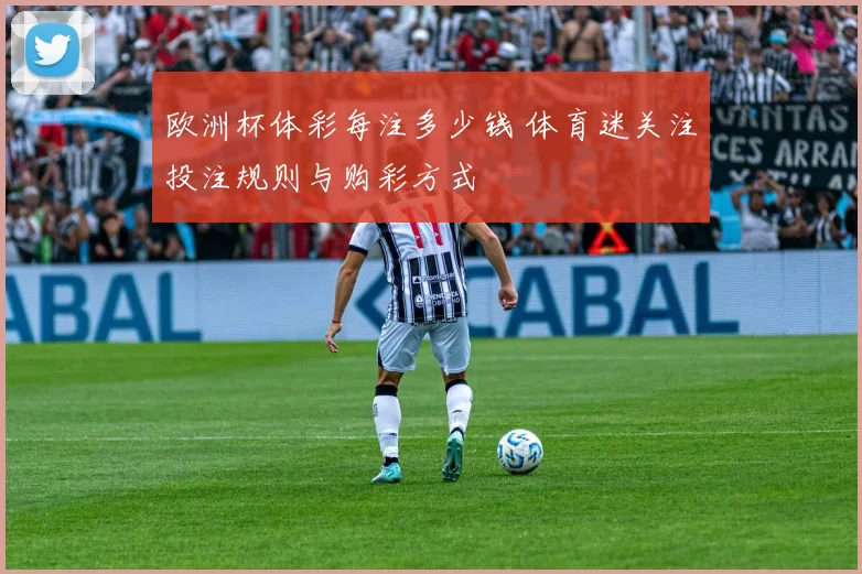欧洲杯体彩每注多少钱 体育迷关注投注规则与购彩方式