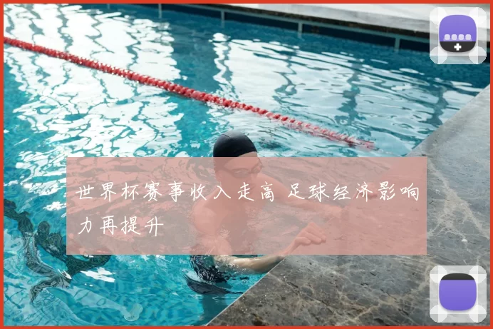 世界杯赛事收入走高 足球经济影响力再提升