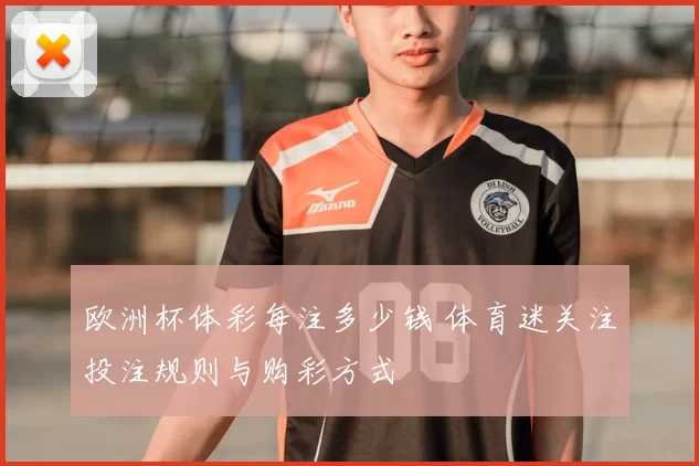 欧洲杯体彩每注多少钱 体育迷关注投注规则与购彩方式