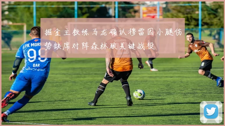 掘金主教练马龙确认穆雷因小腿伤势缺席对阵森林狼关键战役