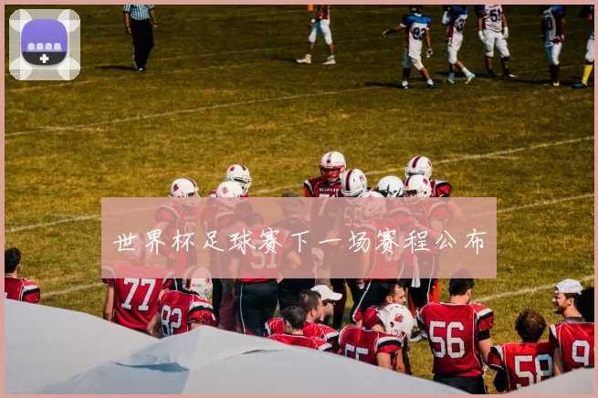 世界杯足球赛下一场赛程公布