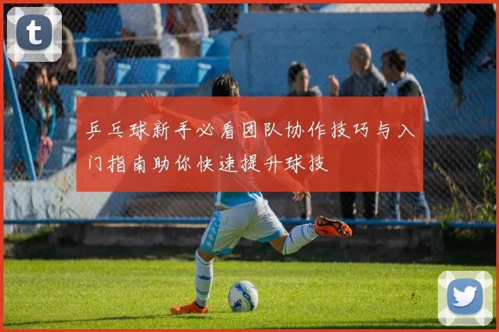 乒乓球新手必看团队协作技巧与入门指南助你快速提升球技