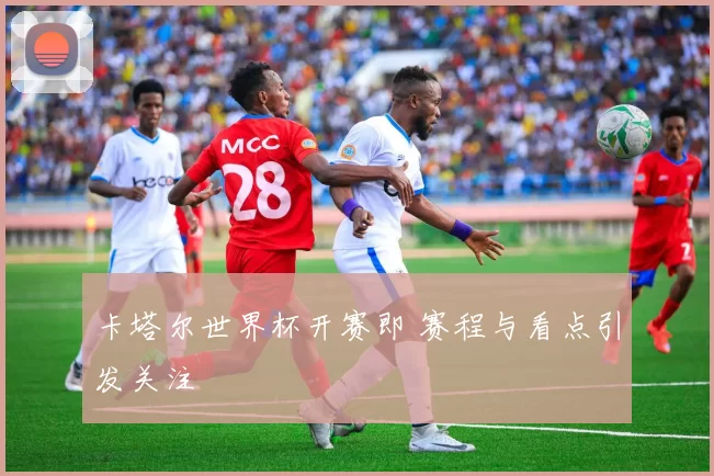 卡塔尔世界杯开赛即 赛程与看点引发关注