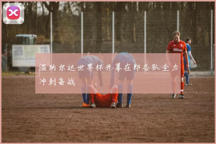 温纳尔达世界杯开幕在即各队全力冲刺备战