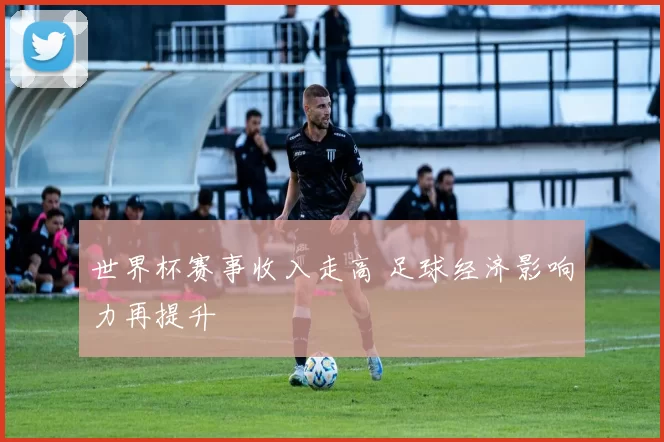 世界杯赛事收入走高 足球经济影响力再提升