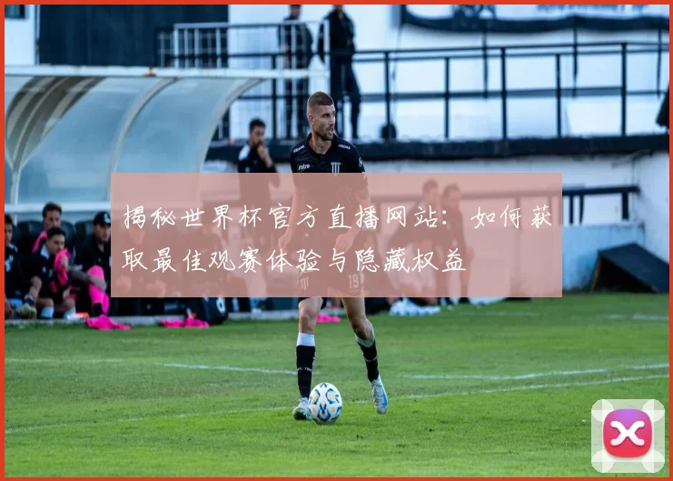 揭秘世界杯官方直播网站：如何获取最佳观赛体验与隐藏权益