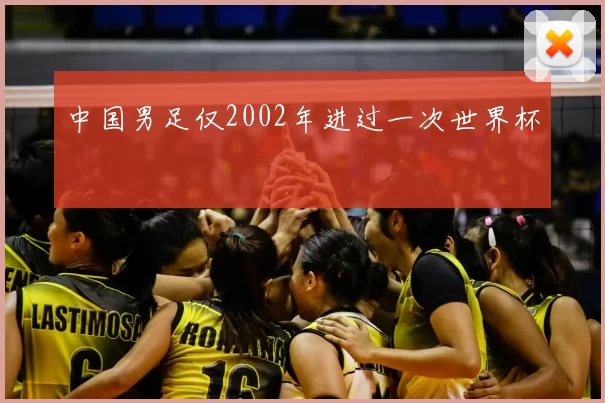 中国男足仅2002年进过一次世界杯