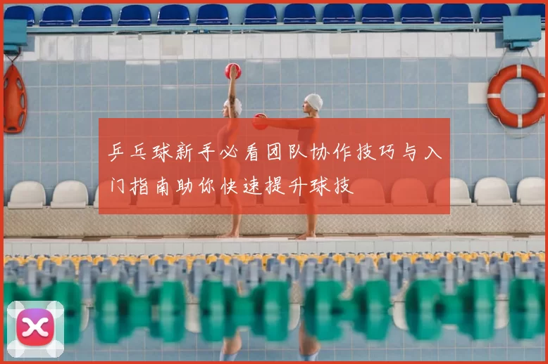 乒乓球新手必看团队协作技巧与入门指南助你快速提升球技
