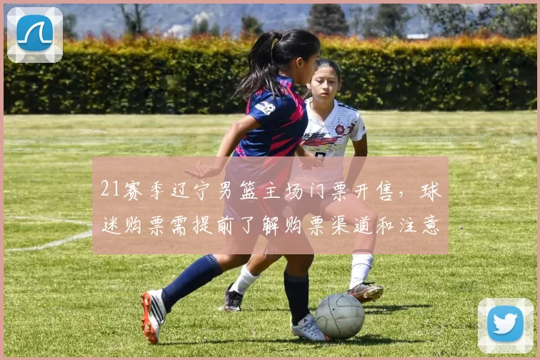 21赛季辽宁男篮主场门票开售,球迷购票需提前了解购票渠道和注意事项