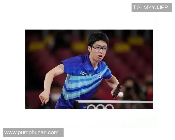 许昕水谷隼对决精彩瞬间回顾央视网全程直播赛场热情与荣耀