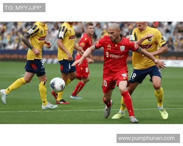 阿德莱德与西悉尼漫步者对决分析及比赛展望